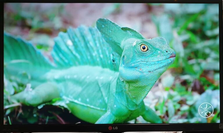 MONITOR LG 27MP65HQ 27'' LED LG IPS OKABLOWANIE