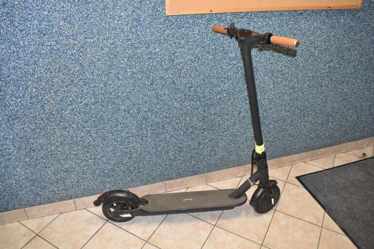 HULAJNOGA ELEKTRYCZNA FRUGAL CLEVER 250W