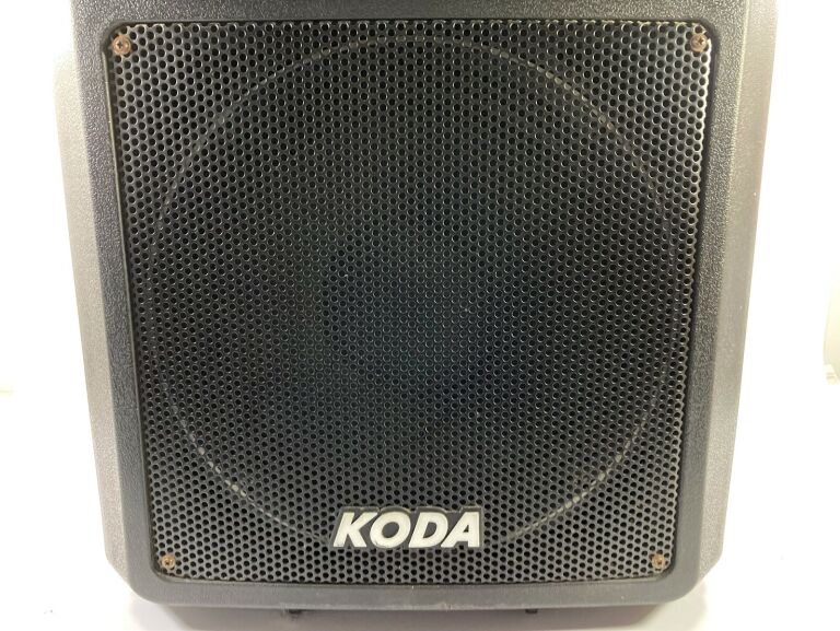 kolumna-estradowa-koda-pa-9012-500-w-8-ohm-typ-kolumna