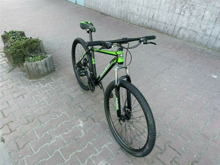 rower-caraiman-29-cali-zielony-polecam-stan-11323-2
