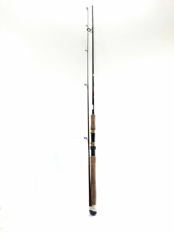 WĘDKA CORMORAN BLACK STAR PRO 2,4 M 10-30G.