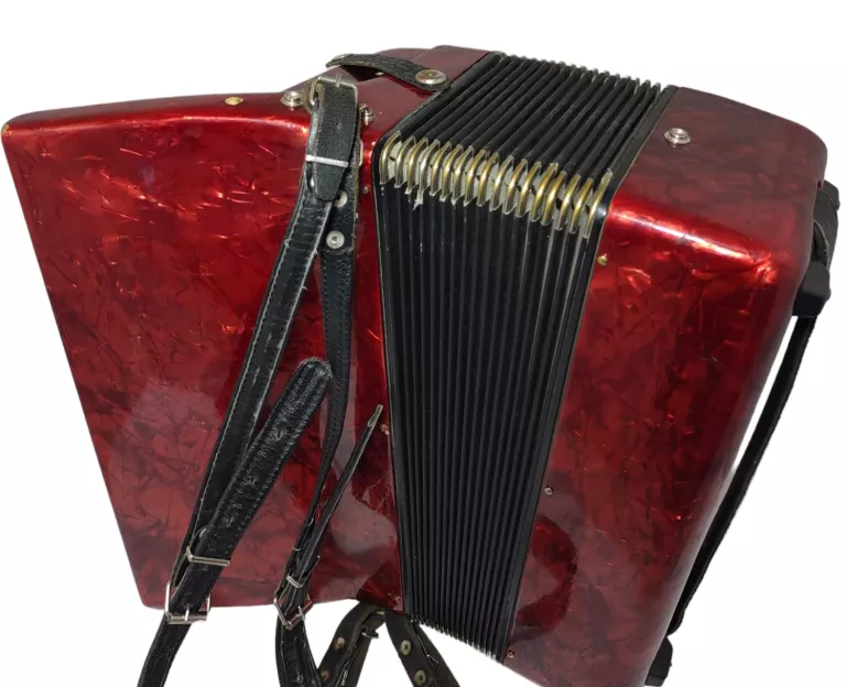 akordeon-delicia-arnaldo-xiv-stan-uzywany