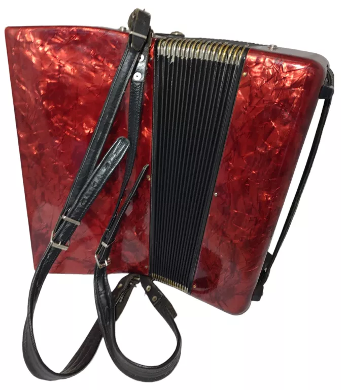 akordeon-delicia-arnaldo-xiv-kod-producenta-1234