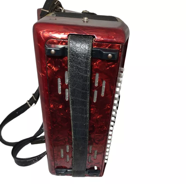 akordeon-delicia-arnaldo-xiv-marka-delicia