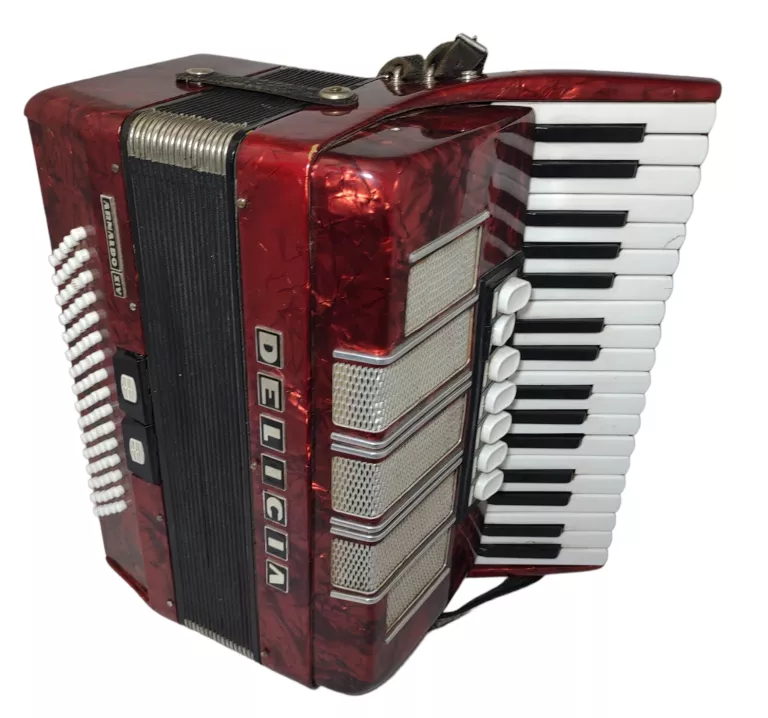 akordeon-delicia-arnaldo-xiv-marka-delicia