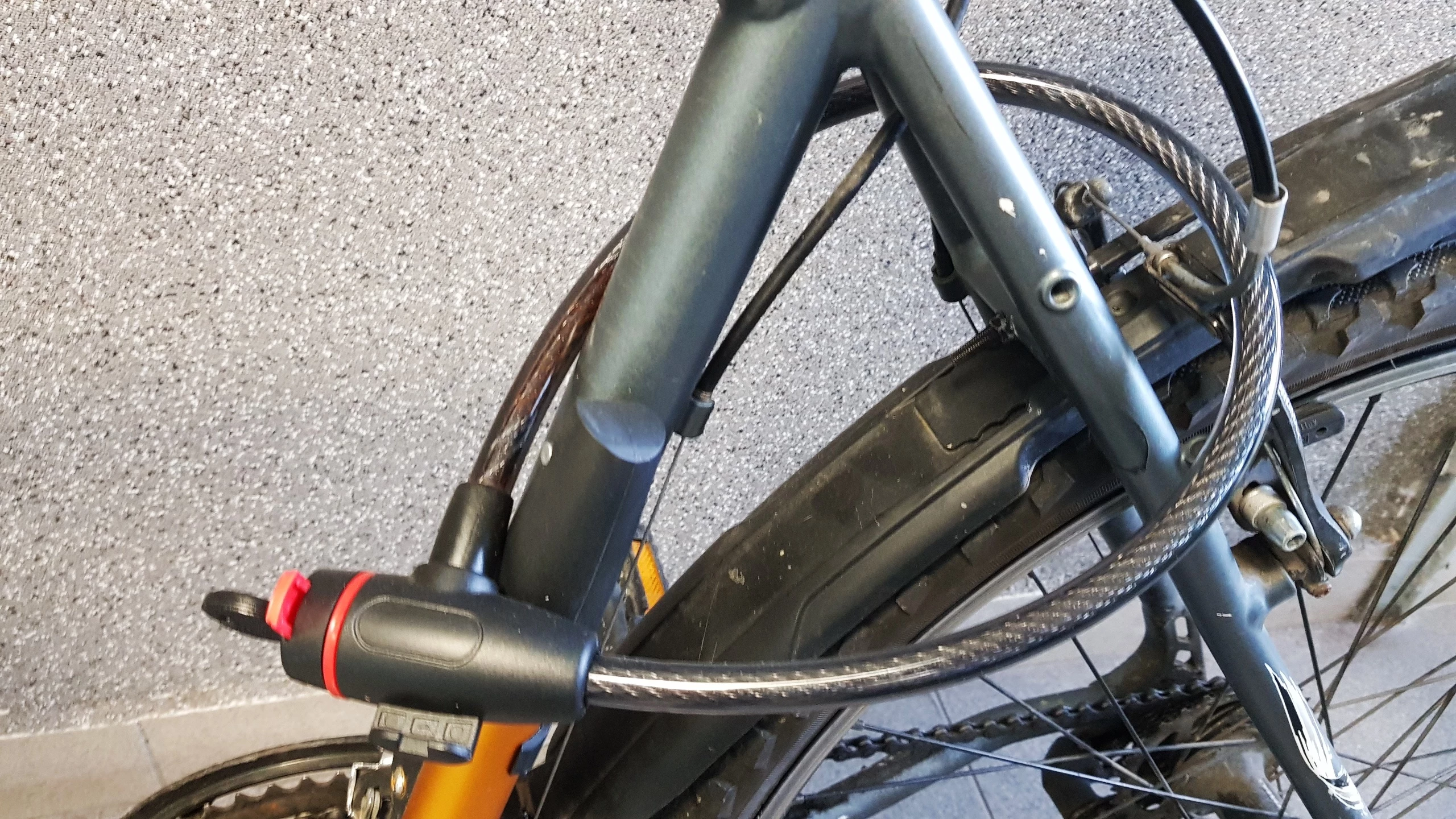 rower-caledonia-extreme-odb-osobisty-stan-uzywany