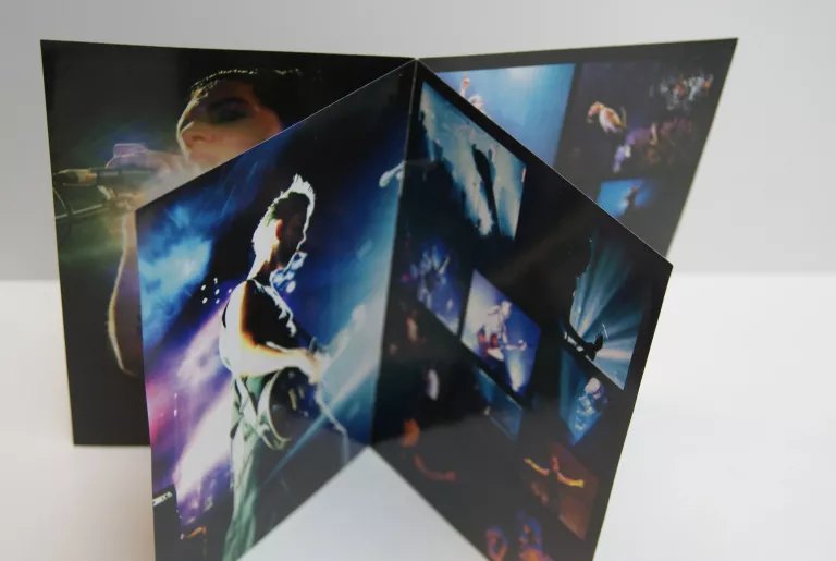 KONCERT DVD PLACEBO SOULMATES NEVER DIE