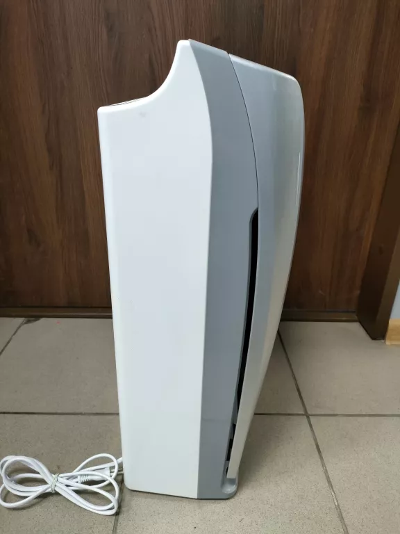 OCZYSZCZACZ POWIETRZA WEBBER AP 9405B