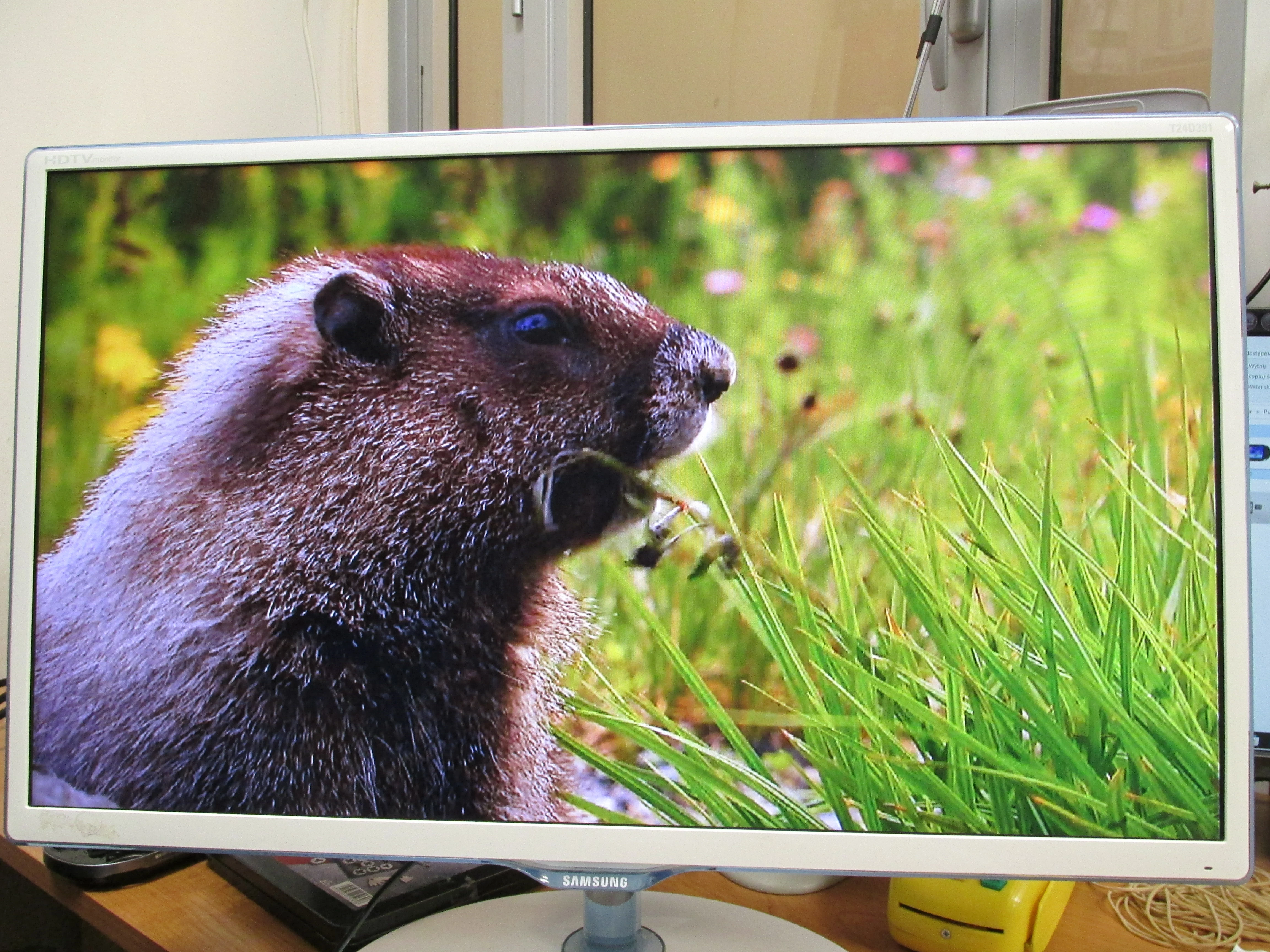 monitor-samsung-24-t24d391ew-z-funkcja-tv-stan-uzywany