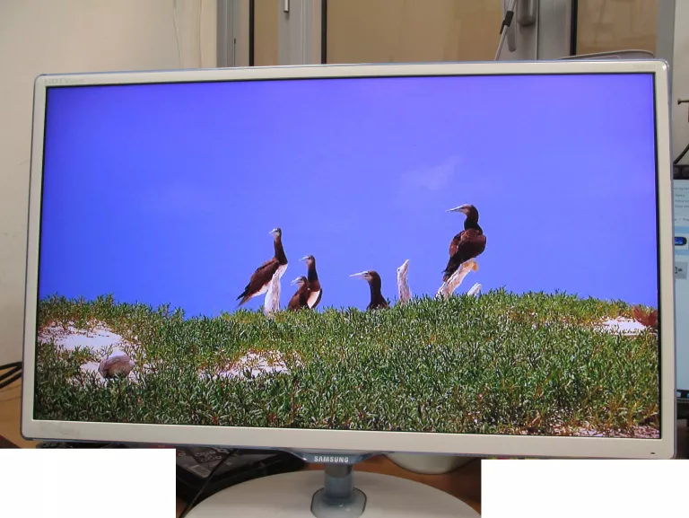 MONITOR SAMSUNG 24" T24D391EW Z FUNKCJĄ TV