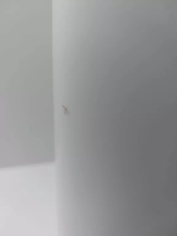 oczyszczacz-powietrza-ioxy-smog-zero-two-model-smog-zero-two