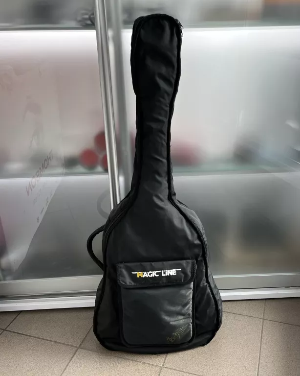 GITARA AKUSTYCZNA ARIANA HS3910 NT