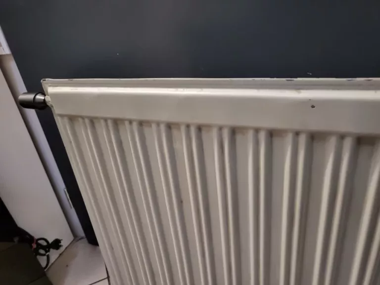 grzejnik-panelowy-silesia-1000w-kolor-dominujacy-129357-1978101