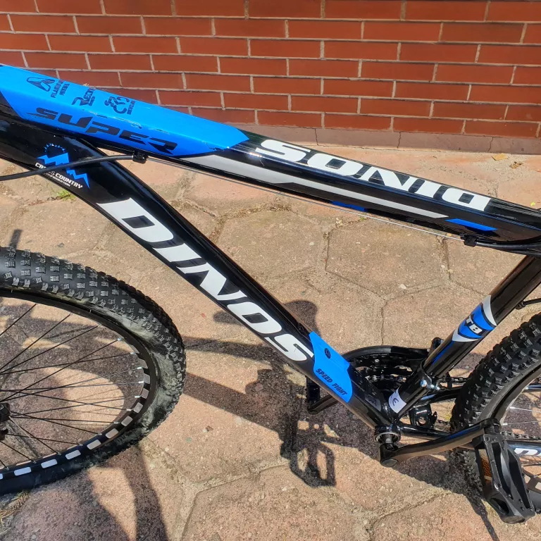 rower-dinos-mtb-18-cali-niebieski-plec-130411-1030181