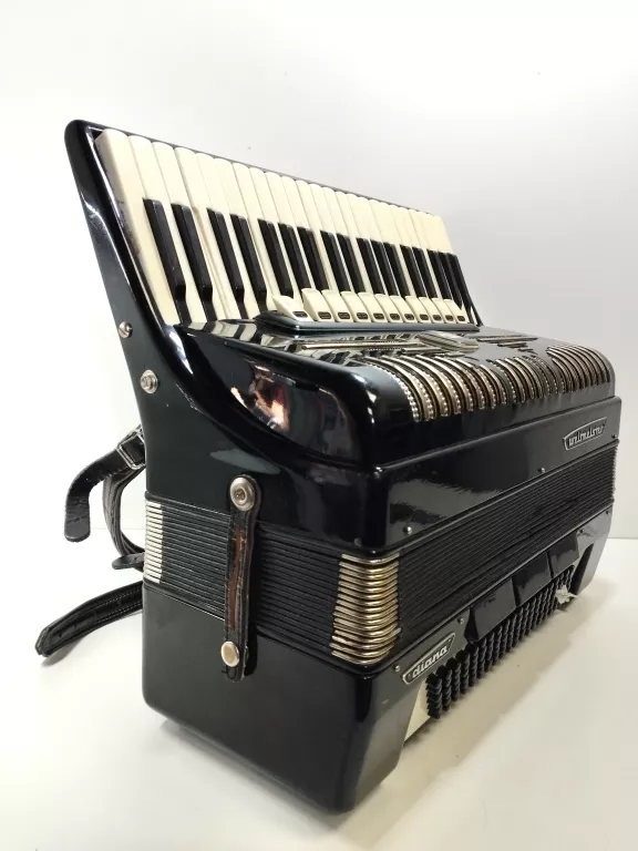 AKORDEON WELTMEISTER DIANA 120 BASS POLECAM!!