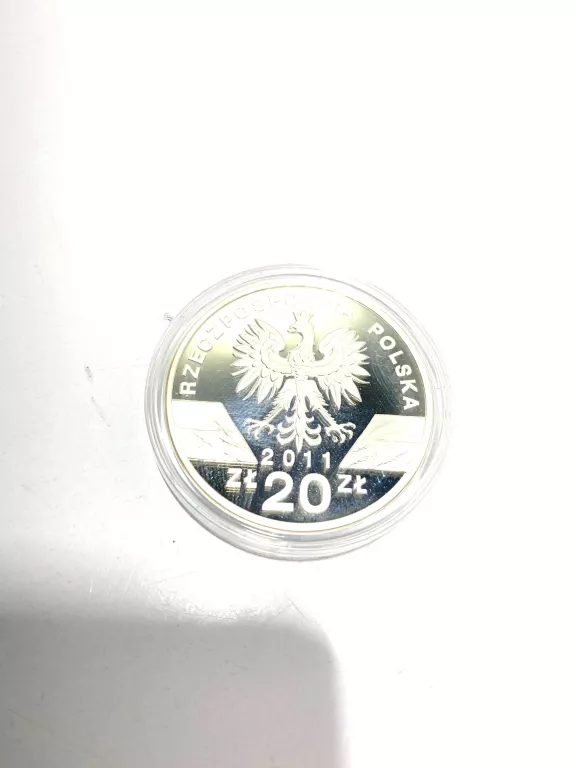 MONETA BORSUK 20ZŁ