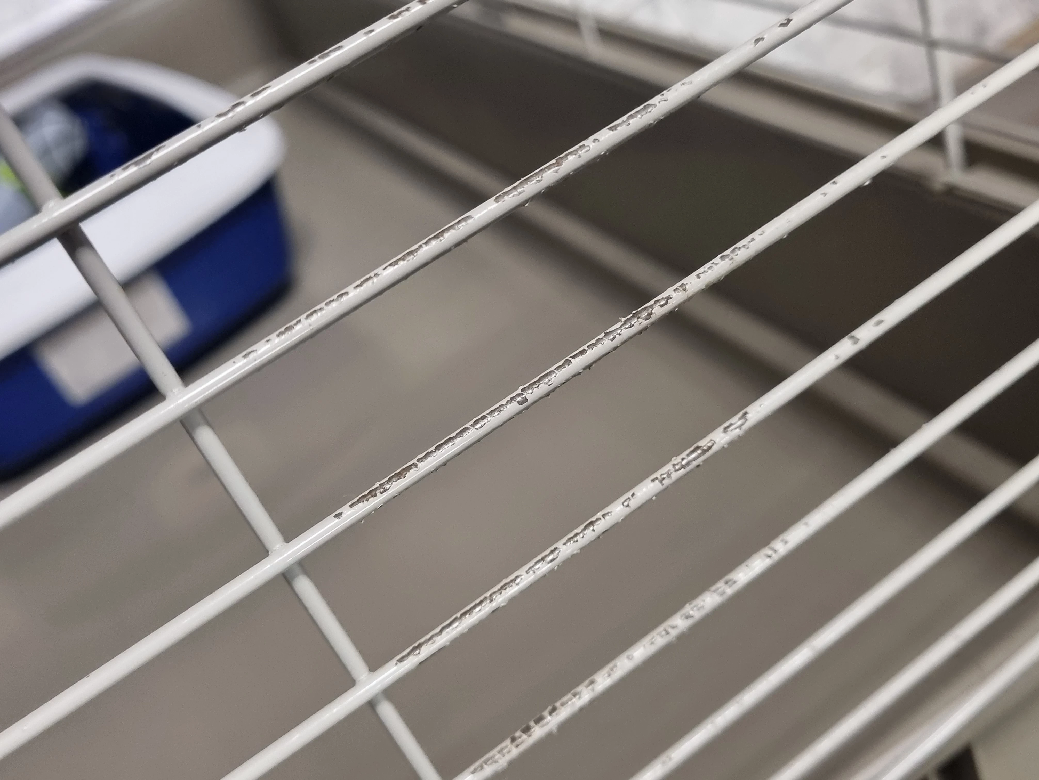 klatka-dla-gryzoni-duza-100x50-cm-poidelko-kuweta-szerokosc-produktu-53