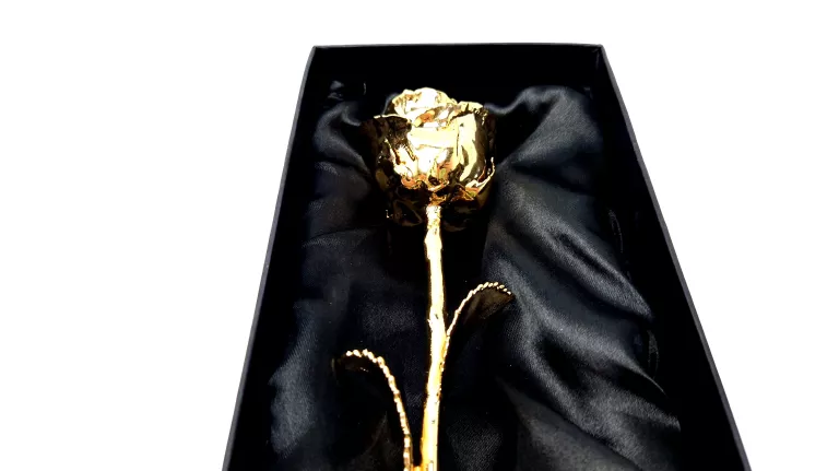 wieczna-zlota-roza-prezent-kielczowska-51b-wroclaw-ship