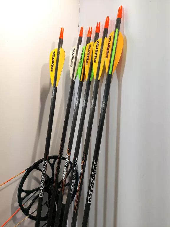 ŁUK BLOCZKOWY BEAR ARCHERY SPECIES LD + DODATKI