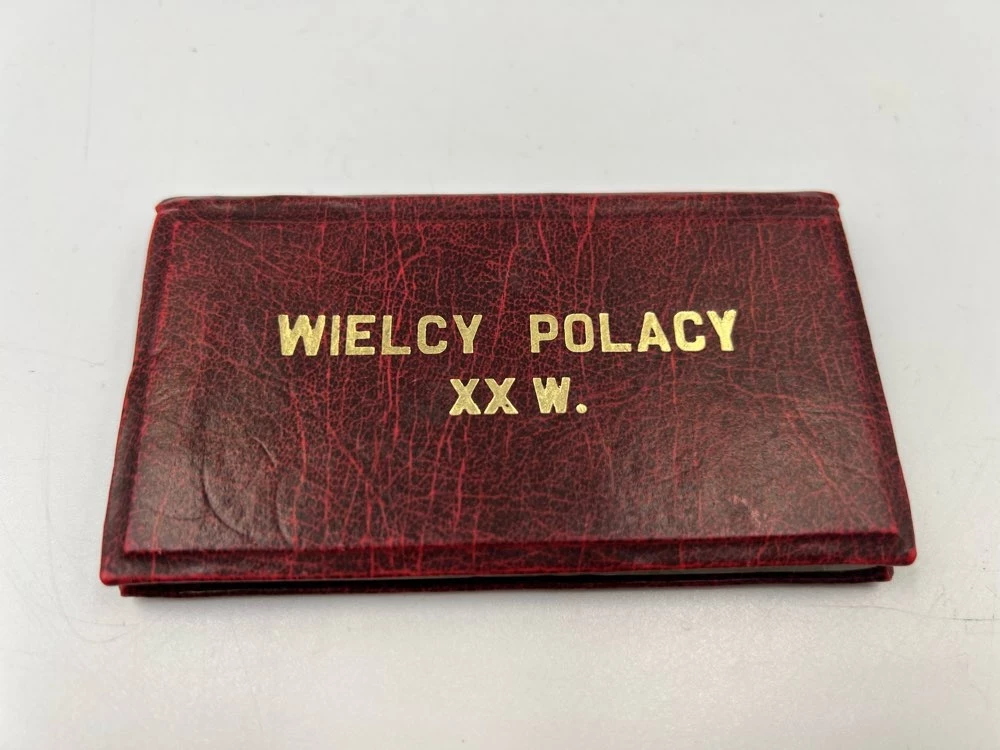moneta-wielcy-polacy-wlotowa-5b-krakow