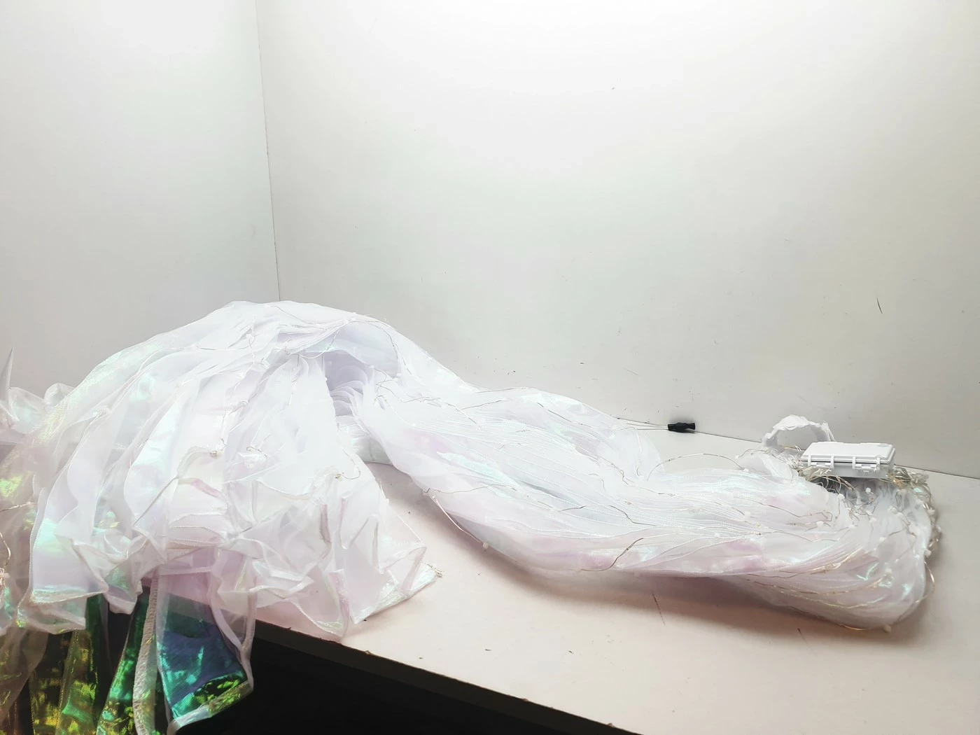 swiecaca-peleryna-opis-stan-powystawowy