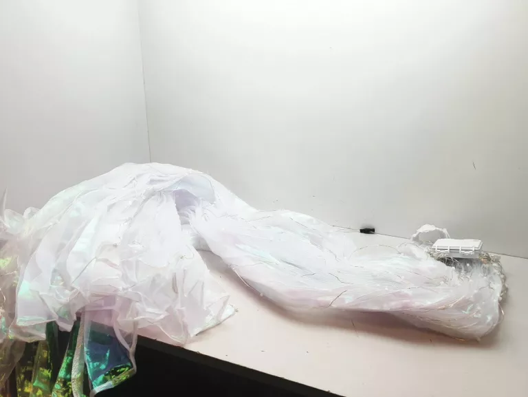 swiecaca-peleryna-opis-stan-powystawowy