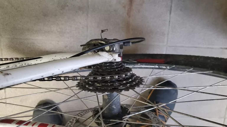 ROWER BULLS SHARPTAIL 29 RAMA 56 SPRAWDZ OPIS