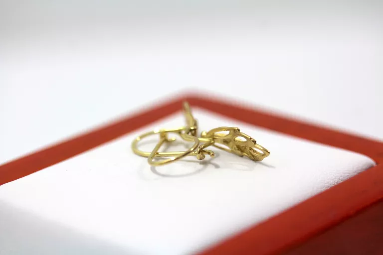 ZŁOTE KOLCZYKI LISTKI PR. 333 1,15G