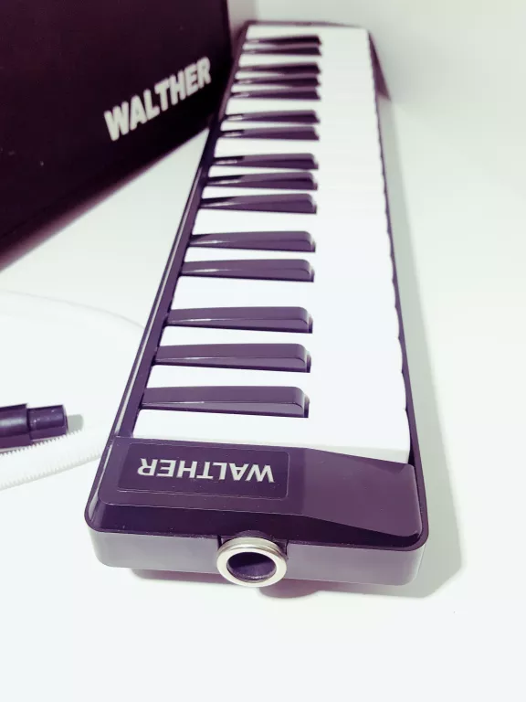 HARMONIJKA USTNA MELODYKA WALTHER + ETUI