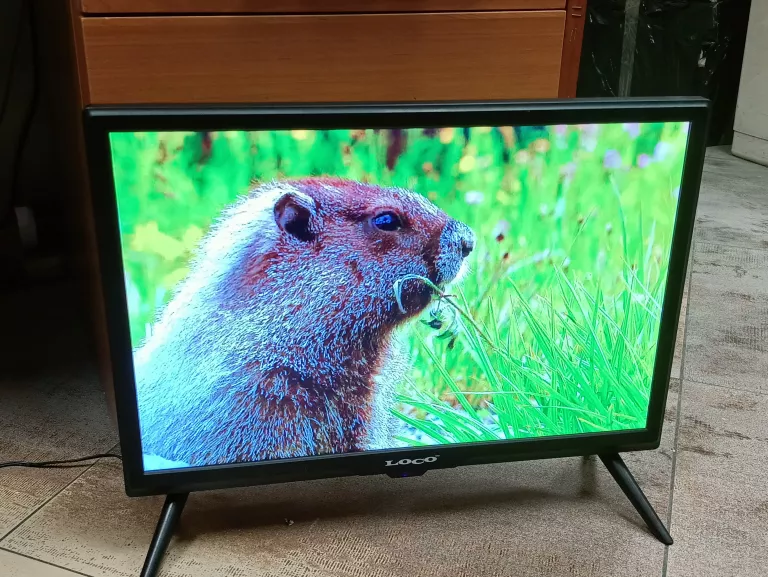 telewizor-19-led-loco-zt-w25a-marka-loco