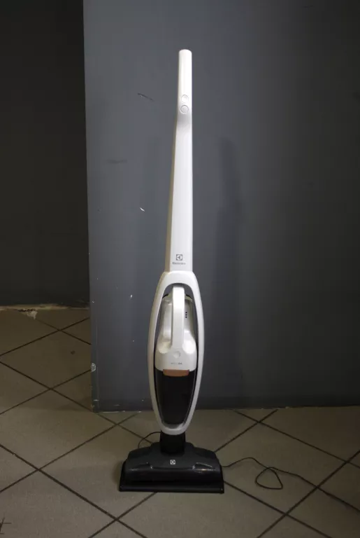 ODKURZACZ PIONOWY ELECTROLUX WELL Q6 KOMPLET