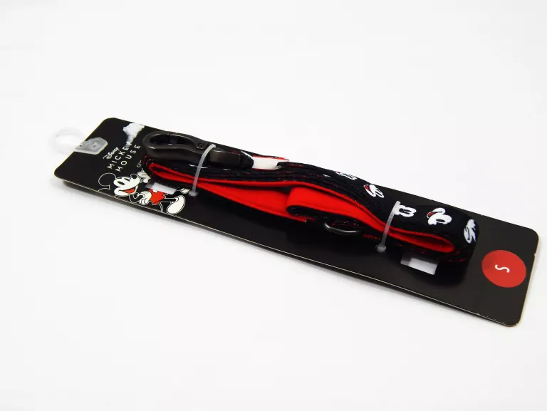 smycz-mickey-psia-chrusciela-17-warszawa-dz-matuszewicz-spj