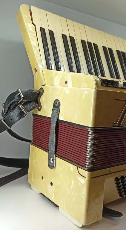 akordeon-hohner-verdi-v-marka-inna