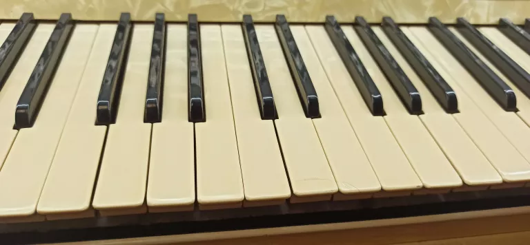 akordeon-hohner-verdi-v-kod-producenta-897604