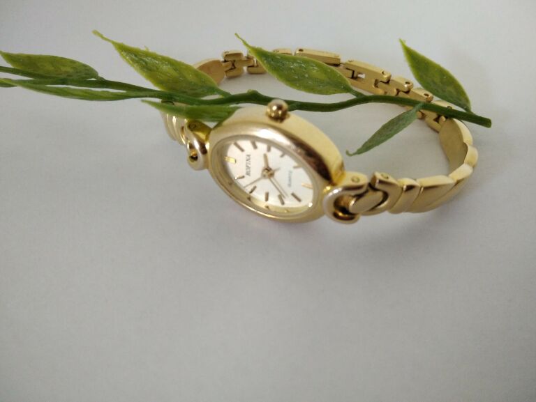 zegarek-damski-rofina-9870-ksztalt-koperty-owalna