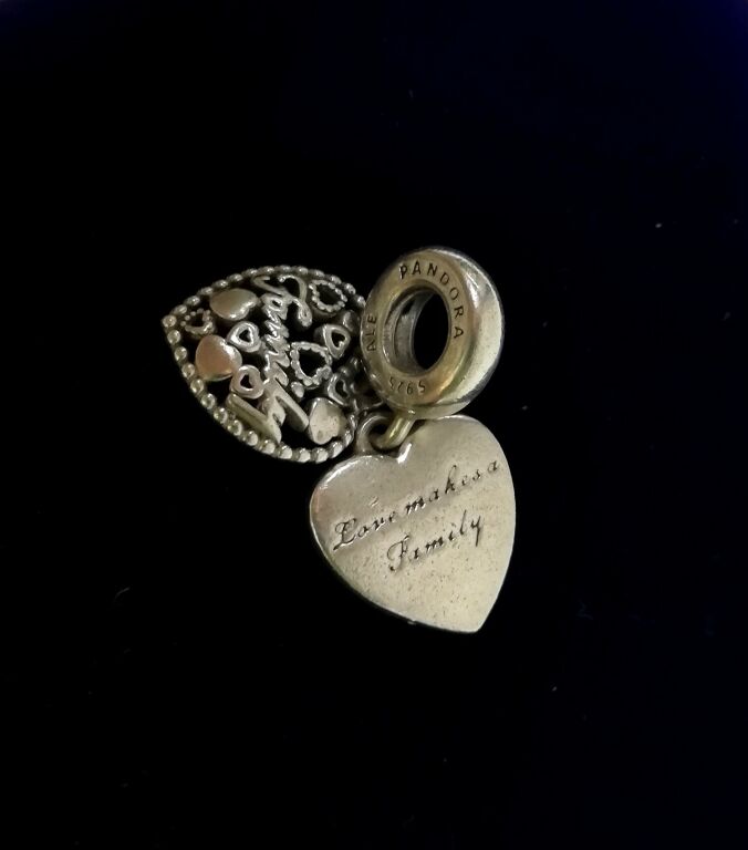 PANDORA CHARMS 925 WZÓR MIŁOŚCI 796459EN28