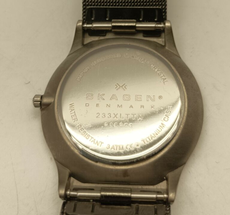 ZEGAREK SKAGEN 233XLTTN