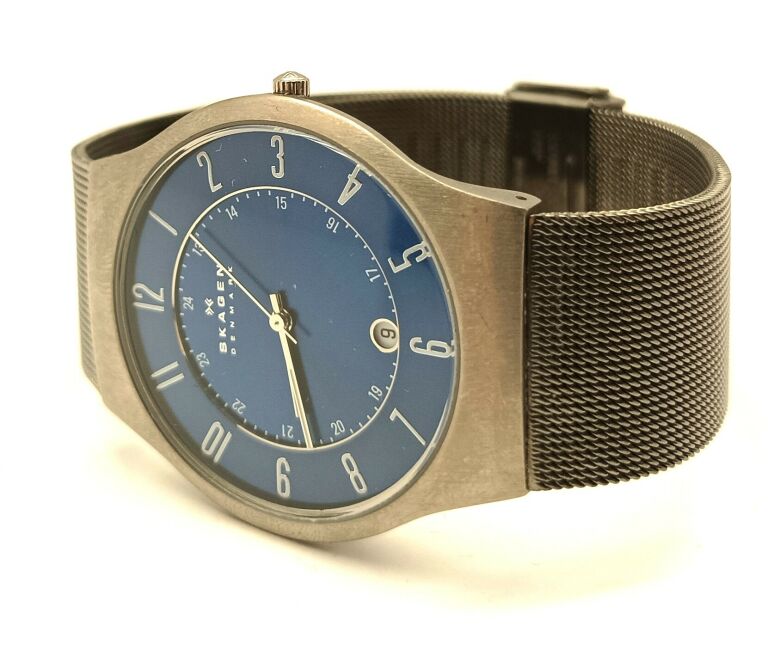 ZEGAREK SKAGEN 233XLTTN