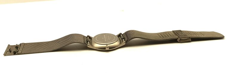 ZEGAREK SKAGEN 233XLTTN