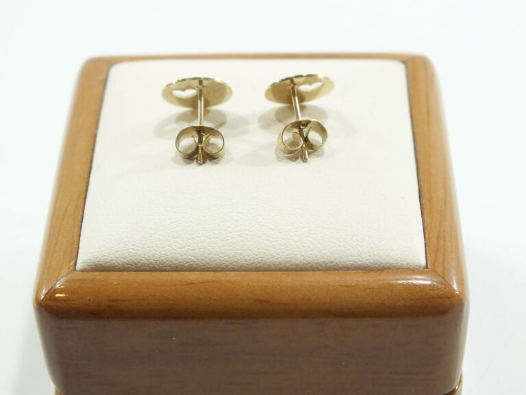 kolczyki-sztyfty-blueberry-eap15192-marka-inna-marka