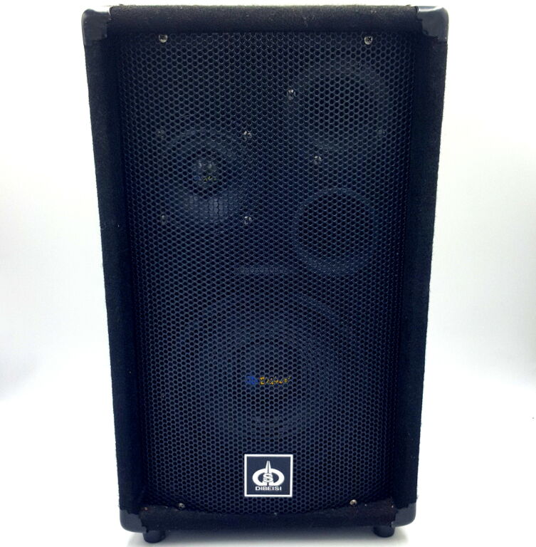 wzmacniacz-voice-kraft-c66-z-2-glosnikami-dibesi-model-c66