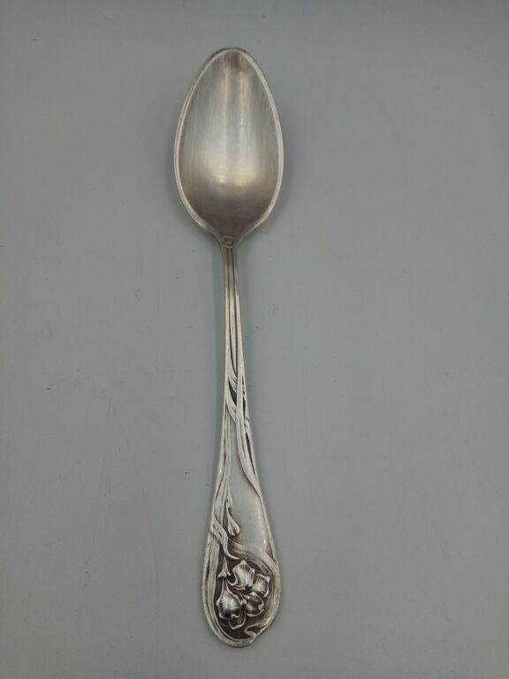 xix-xxw-lyzeczki-5-szt-fraget-bm-plaque-wzor-irys-rodzaj-lyzki-i-lyzeczki