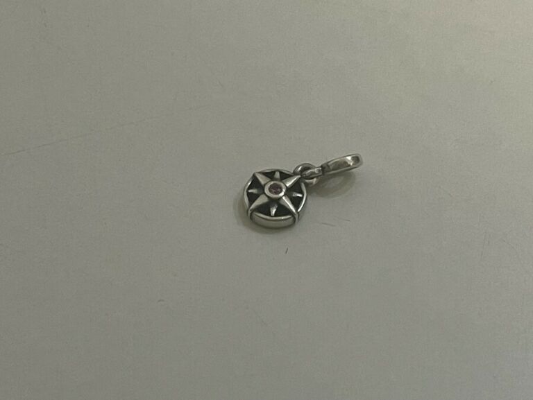 CHARMS Z PANDORY