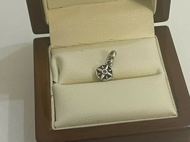 CHARMS Z PANDORY