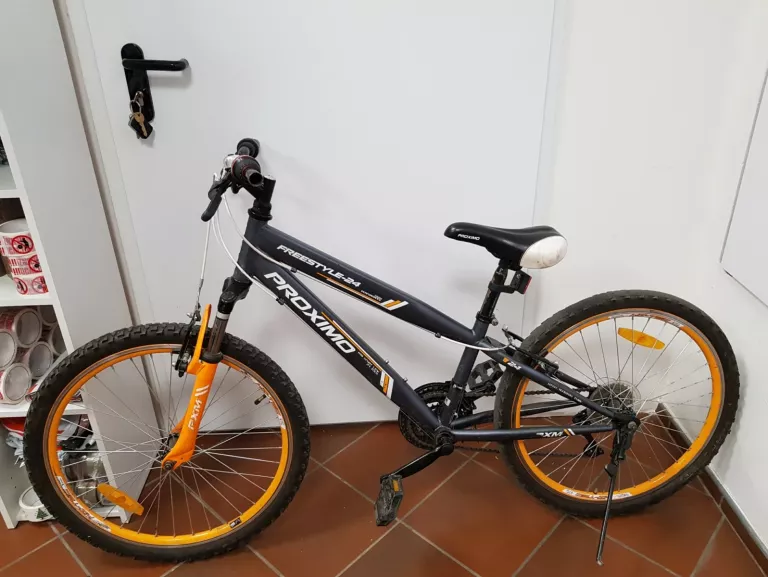 ROWER GÓRSKI PROXIMO FREESTYLE 24