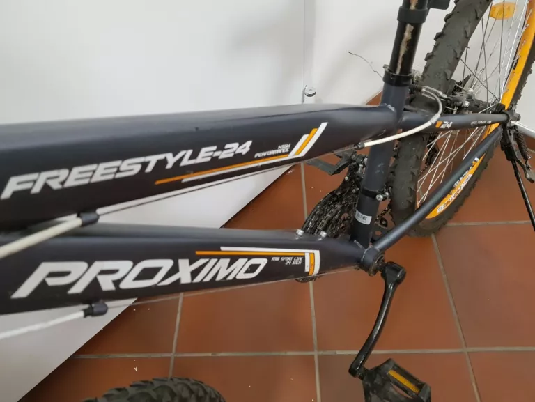 ROWER GÓRSKI PROXIMO FREESTYLE 24