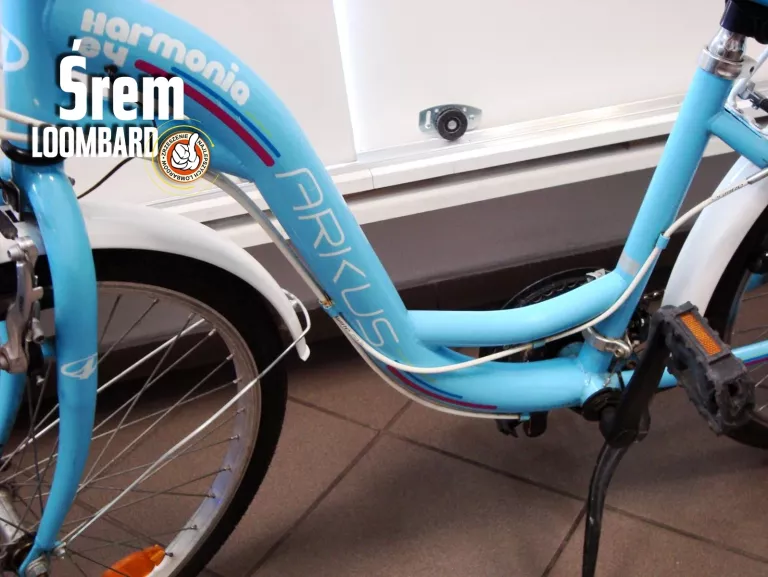 rower-dzieciecy-arkus-harmonia-plec-dziewczynka