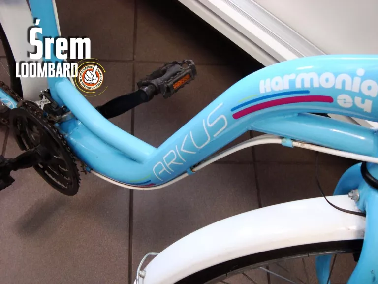 rower-dzieciecy-arkus-harmonia-rozmiar-kola-24