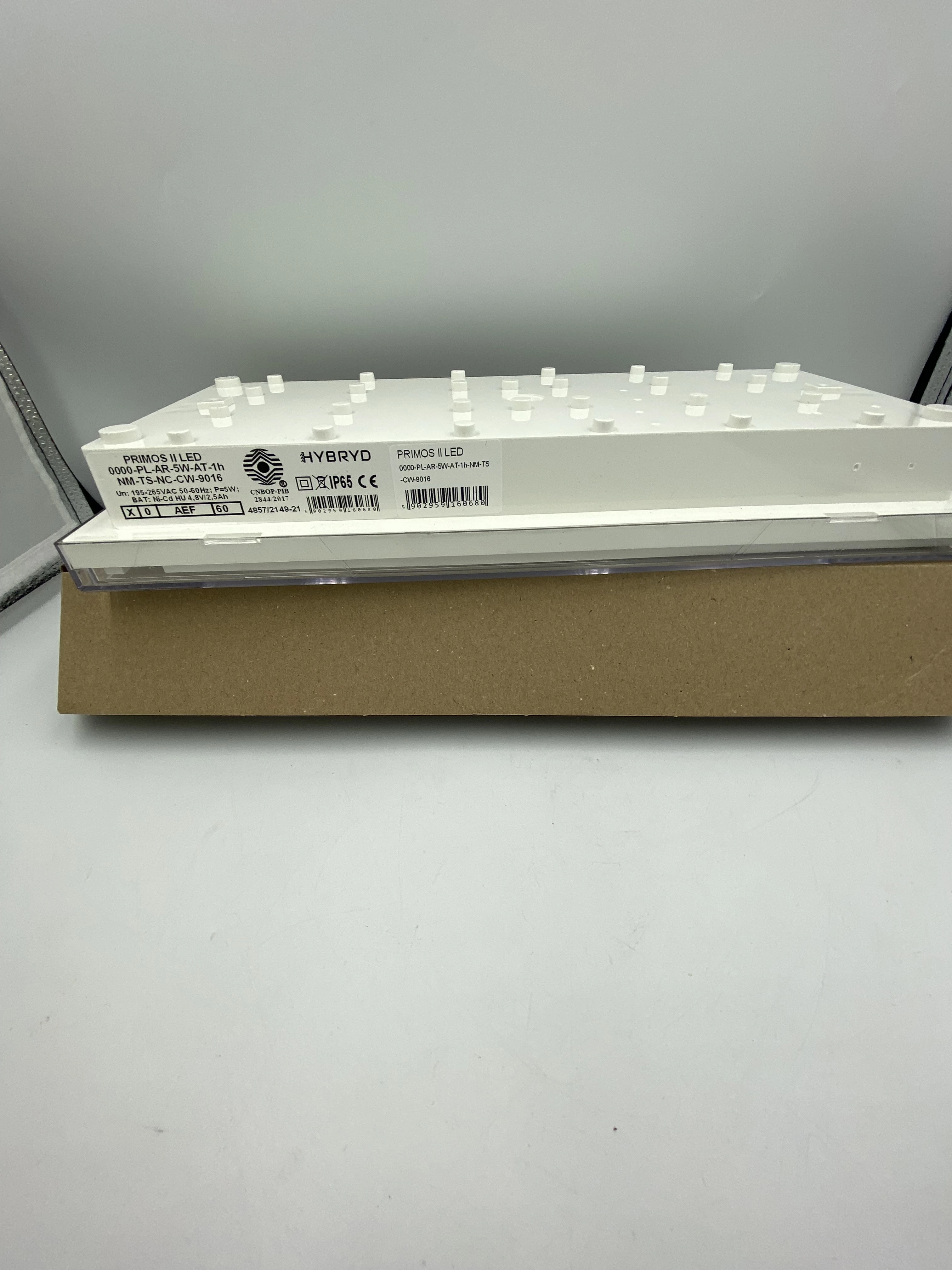 primos-ii-led-rodzaj-sufitowa-natynkowa