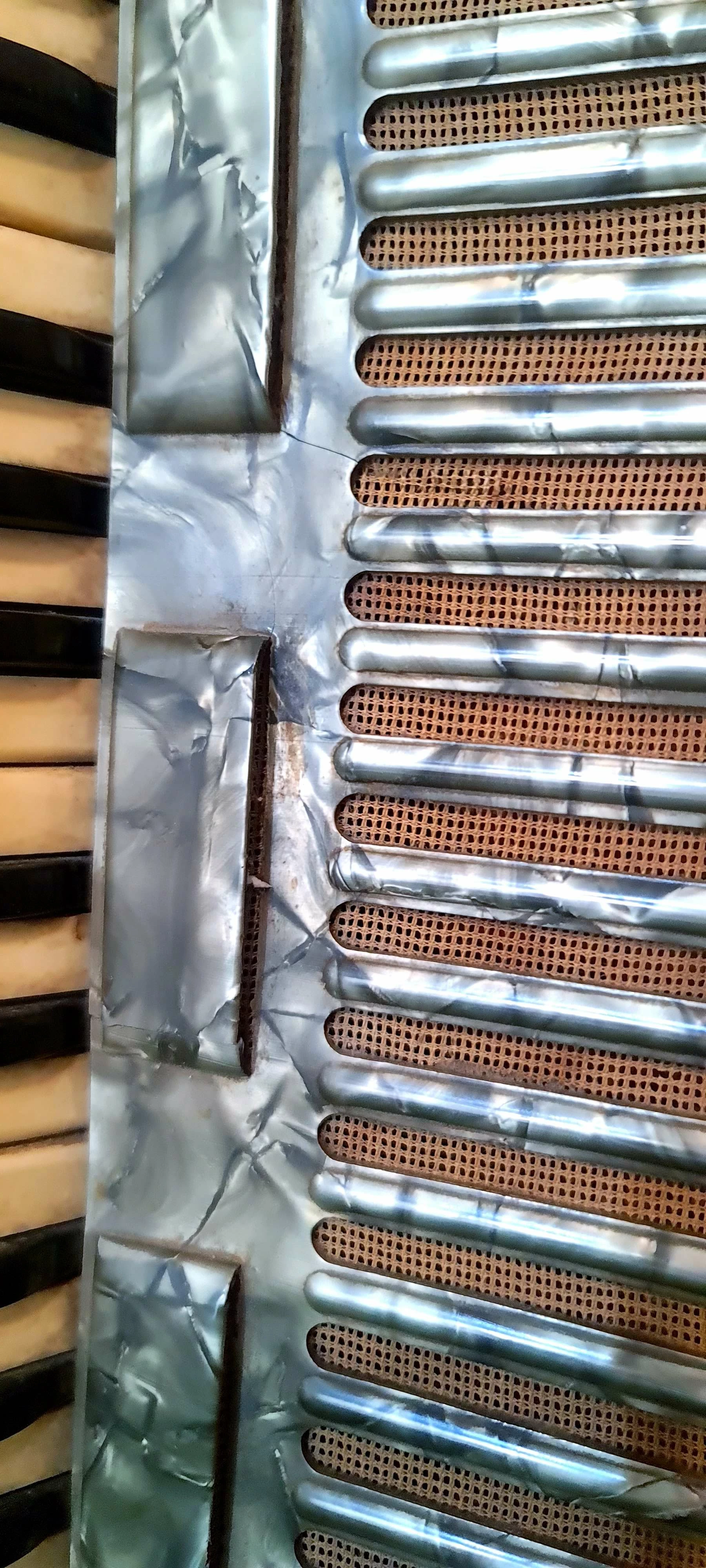 akordeon-troubadour-marka-inna